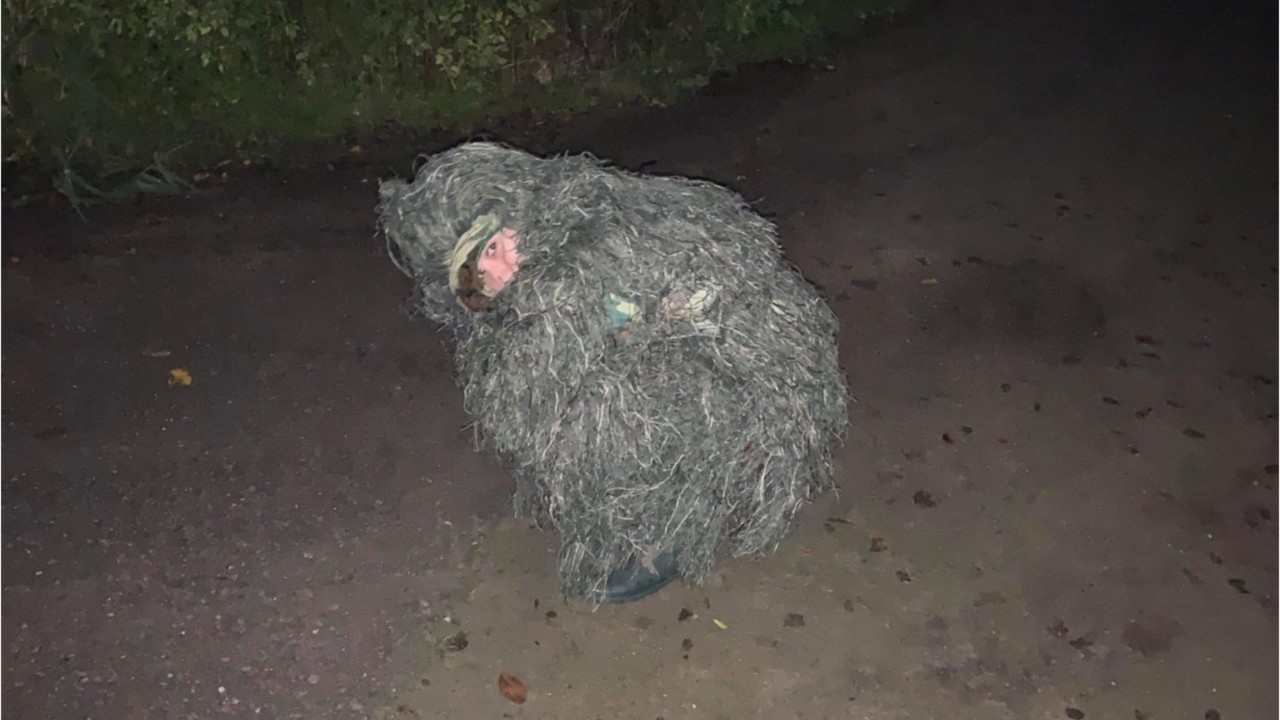 Woman disguises herself as bush to photograph sister's engagement