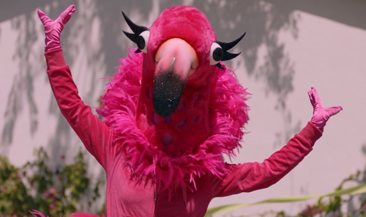 The flamingo in ‘The Masked Singer’ season 2 has a leg up on the competition
