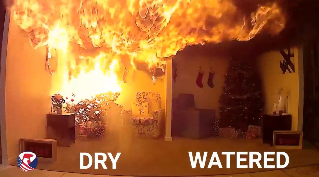 Christmas tree bursts into flames in safety demonstration