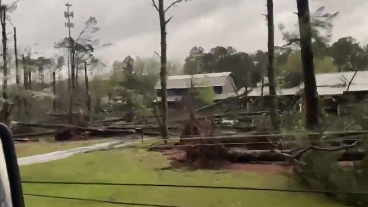 Driver surveys downed trees following tornado in Birmingham Alabama