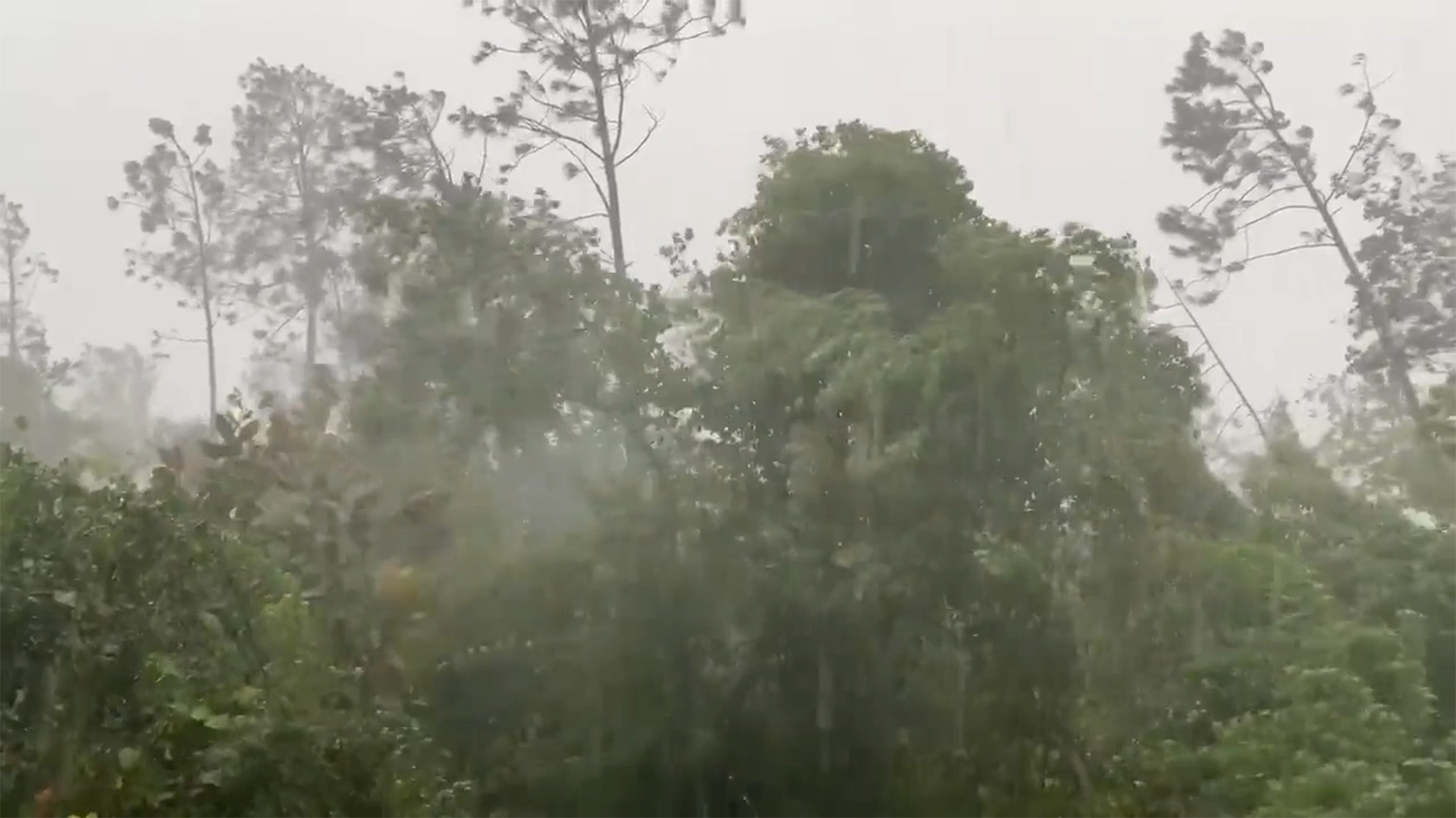 Tropical Storm Fred brings strong winds, flooding Florida