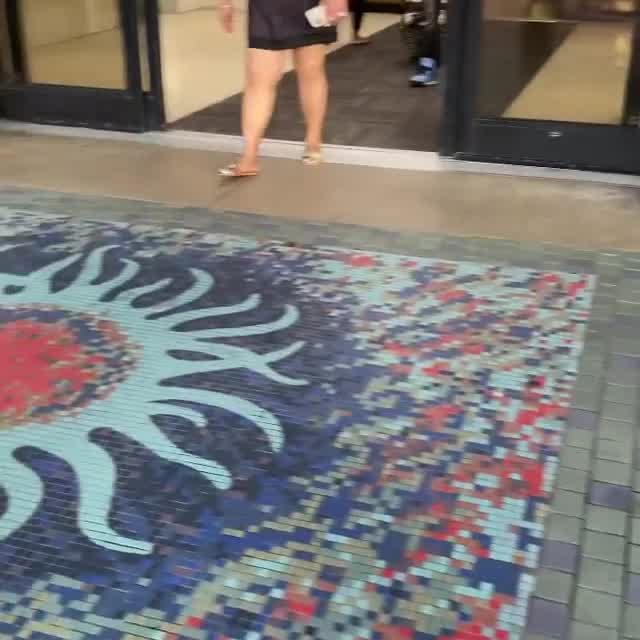 Crowd of Stranded Passengers Wait at Spirit Airlines Counter in Fort Lauderdale